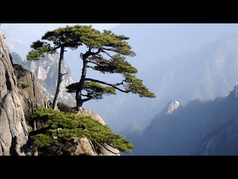 Видео: Коридор потрясений и доверие