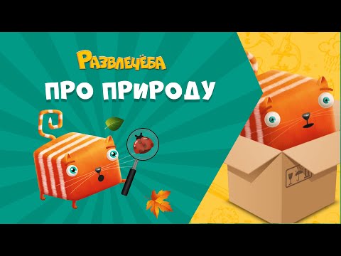 Видео: Развлечёба. Окружающий мир. Про природу и рукотворный мир