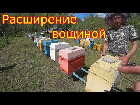Видео: ШЕСТИРАМОЧНИКИ, расширение вощиной! О МАТКАХ!