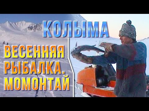 Видео: Как рыбачат на Колыме в апреле на озерах Момонтай и Балгыт. Рыбалка. Сусуман. Магадан