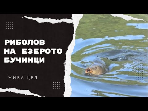 Видео: Ribolov na ezeroto Bucinci | S3E23 - Ziva Cel #ribolov #fishing #риболов