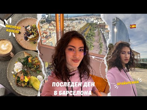 Видео: Съсед по гащи/ Закъснявам за полета/ Виенско колело/ Honest Greens