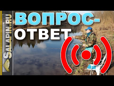 Видео: Поговорим о рыбалке. Вопрос-ответ. 18.04.2020