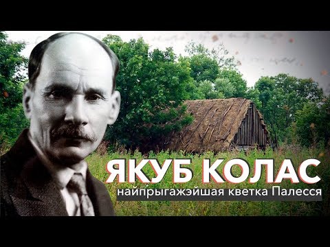 Видео: Якуб Колас: найпрыгажэйшая кветка Палесся | ЗАПІСКІ НА ПАЛЯХ