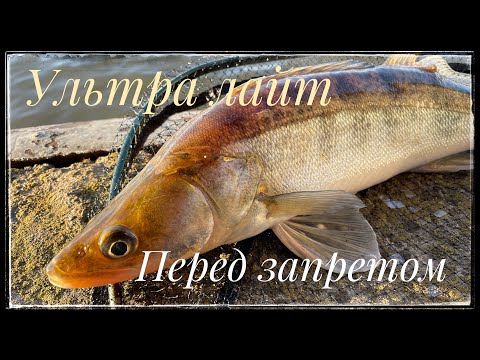 Видео: Ультра Лайт на Москва реке ! Рыбалка перед запретом !