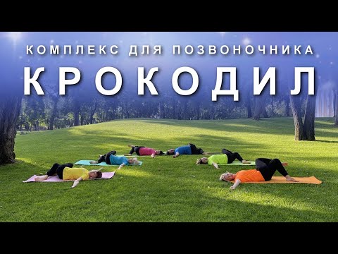 Видео: КРОКОДИЛ: Комплекс Упражнений для Позвоночника