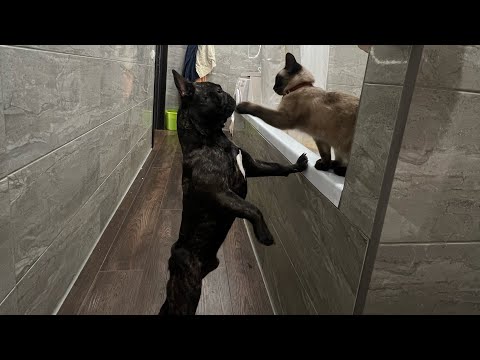 Видео: Часть 30. Ревность Егора к Шани не знает границ