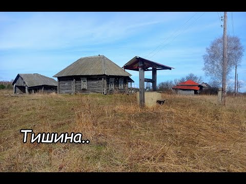 Видео: Заброшенные деревни в лесах Рязанской глубинки. Живу 2 дня в машине.