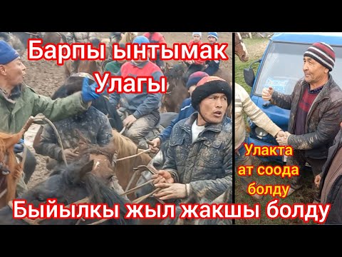 Видео: Барпы ынтымак улагы