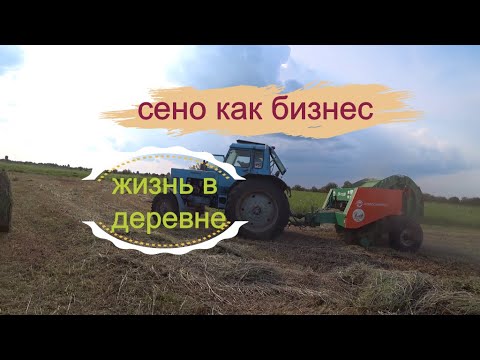 Видео: Сено как бизнес. Будет ли толк заходить в бизнес в 2022.