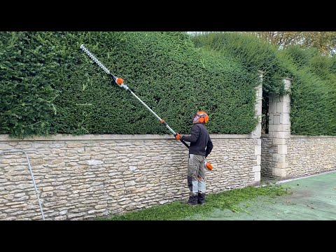 Видео: НОВЫЙ ОБЗОР STIHL HLA 86