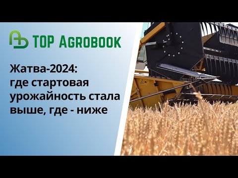 Видео: Жатва-2024: где стартовая урожайность стала выше, где - ниже | TOP Agrobook: обзор аграрных новостей