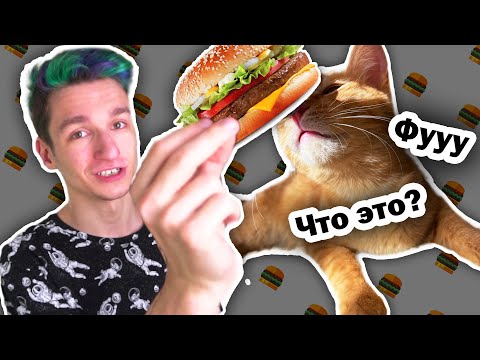 Видео: Симбочка пробует человеческую еду!