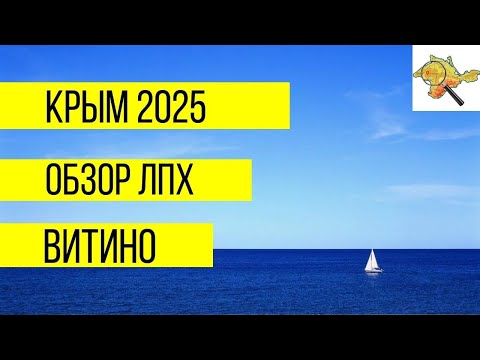 Видео: 27 марта 2025 г.