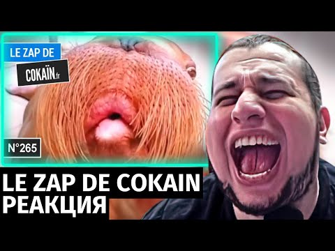 Видео: Манурин смотрит Le Zap de Cokaïn.fr n°265