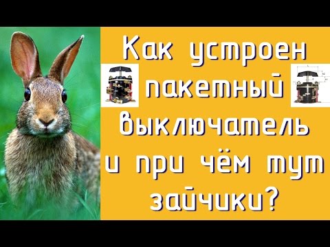 Видео: Пакетный выключатель- устройство и немного о ловле "зайчиков".