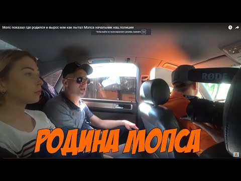 Видео: Мопс показал где родился и вырос или как пытал Мопса начальник нац.полиции