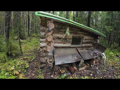 Видео: В ПОИСКАХ ЛОСЯ. ПРОГУЛКА ПО ЛЕСУ НАШЛИ ИЗБУШКУ.