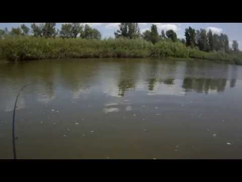 Видео: MEGABASS Power Bomb - любимый раттлин окуней.Perch Fishing.