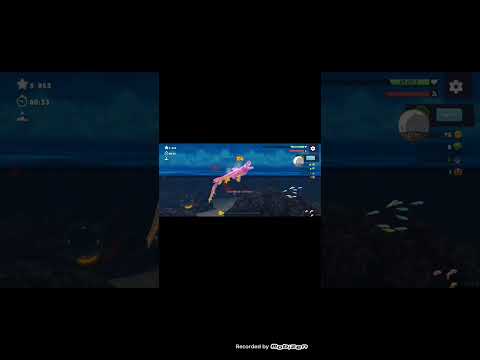 Видео: hungry shark evolution прохождение игры #4 #hungrysharkevolution  #hungryshark #gaming #2025