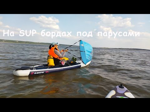 Видео: На SUP бордах под парусами