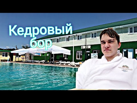 Видео: РЕСПУБЛИКА АДЫГЕЯ// КЕДРОВЫЙ БОР