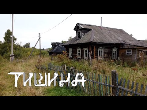 Видео: Всего пять минут от трассы и жизни нет.Тут есть электричество,но нет людей.Заброшенная деревня