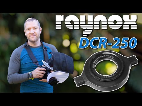 Видео: Raynox DCR 250 Macro | Максимальная гибкость с #Canon100mm