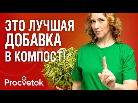 Видео: БОЛЬНУЮ БОТВУ, ОПАД И ДАЖЕ СОРНЯКИ С СЕМЕНАМИ МОЖНО КЛАСТЬ В КОМПОСТ, если знать этот важный нюанс