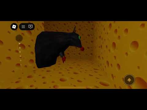 Видео: 22 июня 2025 г.