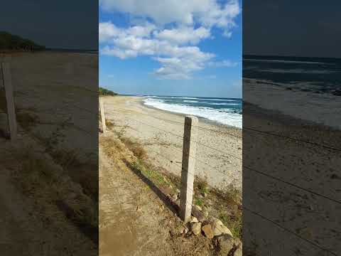 Видео: Почему в КНДР все побережье за колючей проволокой #КНДР #севернаякорея #мыздесьбыли