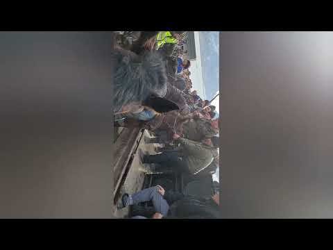 Видео: Кокбел айылында Калмамат авабыздын улагы 13:01:2024