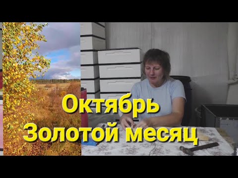 Видео: #турвыходногодня Путешествие 