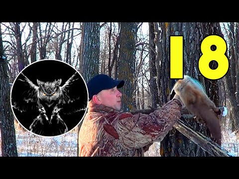 Видео: Капканный промысел