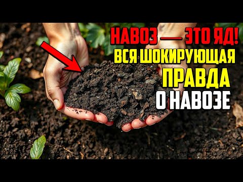 Видео: Выбросьте Навоз! Этот Секрет Превратит Любую Землю В Чернозём!