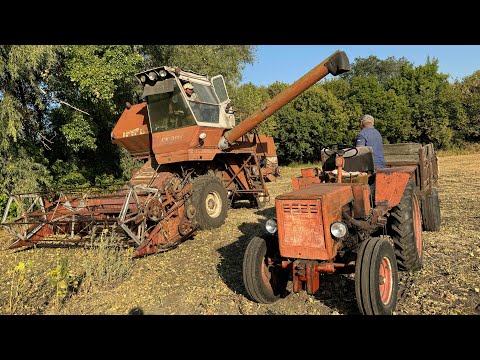 Видео: 😱Фермер не ВИТРИМАВ❗️Розпродаж ТЕХНІКИ❗️НИВА СК-5М-1, сівалка John Deere, МТЗ, жнива сої 2024