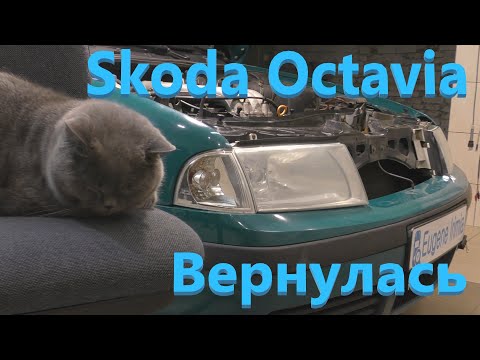 Видео: Skoda Octavia 2.0 2002 - Вернулась