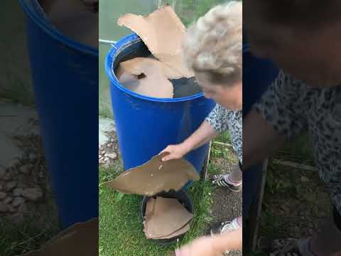 Видео: Практические занятия: Клубничные грядки без прополки и сорняков, до весенней перекопки