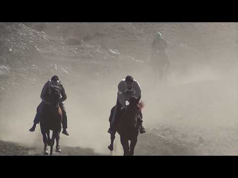 Видео: село Анди - Скачки 2018