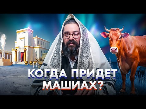 Видео: Когда придет Машиах?// Будущее Израиля и Народов Мира// Раввин Элияу Гладштейн