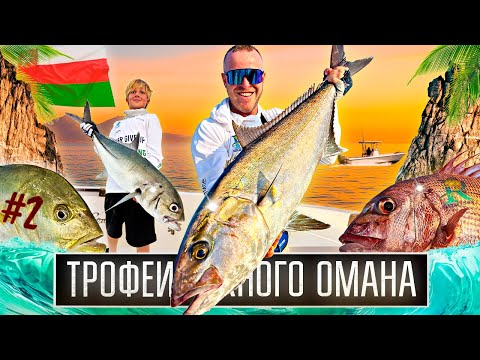 Видео: Поймал гигантского амберджека на джиг? ► Морская рыбалка Южный Оман 2025 ► В поиске трофея - День 2