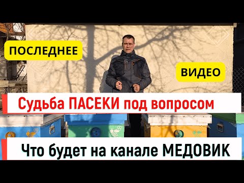 Видео: Судьба пасеки под вопросом! Последнее видео! Что с каналом?