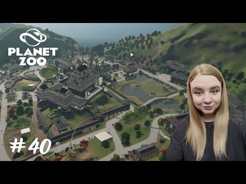 Видео: Выбралась из кабалы  ➤ Planet Zoo #40