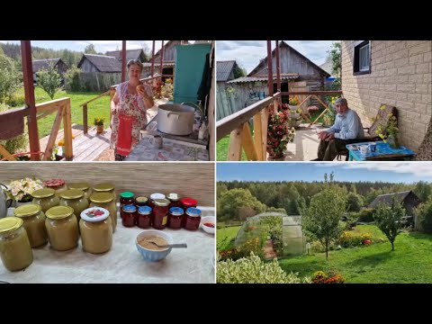 Видео: СВАРИЛА ПЮРЕ ИЗ ЯБЛОК НА ЗИМУ, А НА ОБЕД ПРИГОТОВИЛА ГРИБНЫЕ ЩИ И ОПЯТА ПОЖАРИЛА.