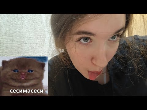 Видео: асмр неумелый нестабильный похититель // role play asmr
