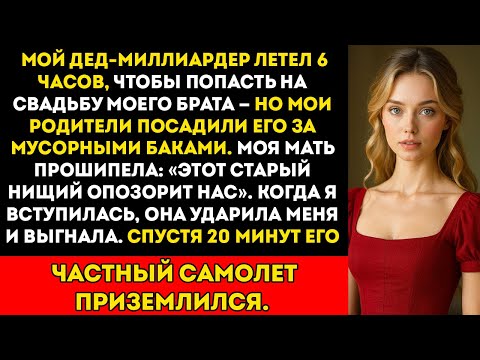 Видео: Мой дедушка-миллиардер летел 6 часов на свадьбу моего брата — а мама посадила его рядом с мусорной