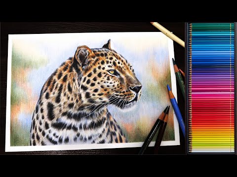 Видео: Как нарисовать леопарда цветными карандашами 🔥 ТАЙМЛАПС 👍 Ускорено в 100 раз!
