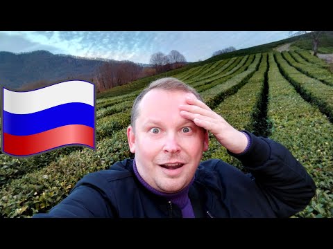 Видео: #8.Бали, не покидая Сочи! 🌱 Чайные плантации "Мацеста Чай" в Мацесте 🍵 Где купить вкусный чай?