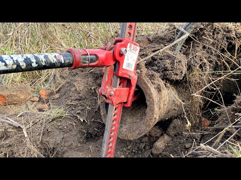 Видео: ЛУЧШЕЕ МЕСТО ДЛЯ МЕТАЛЛОКОПА В ЭТОМ ГОДУ!!!ТАКОГО МЕТАЛЛА НА ЭТОЙ ФЕРМЕ МЫ НЕ ЖДАЛИ!!!