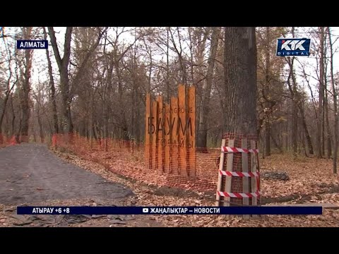 Видео: В Алматы активисты готовят петицию против благоустройства рощи Баума